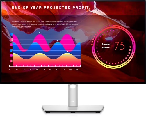 Dell UltraSharp 24 Inch Monitor