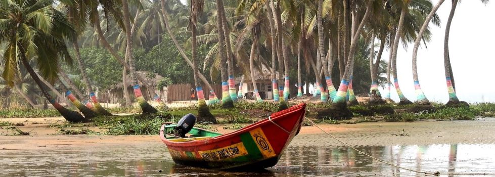 a small colorful wooden boat is pulled to shore in front of palm trees